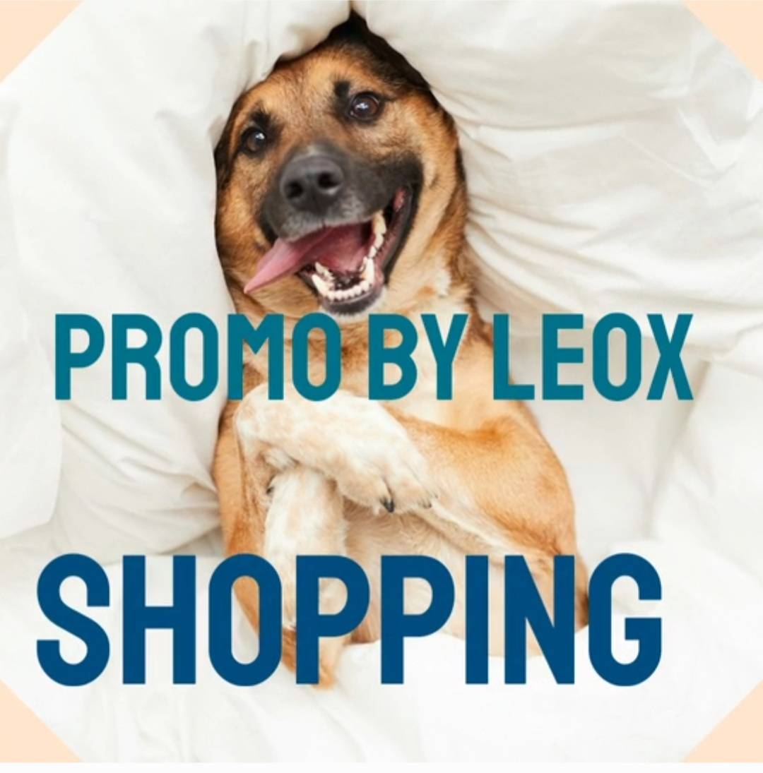 Promo by leox